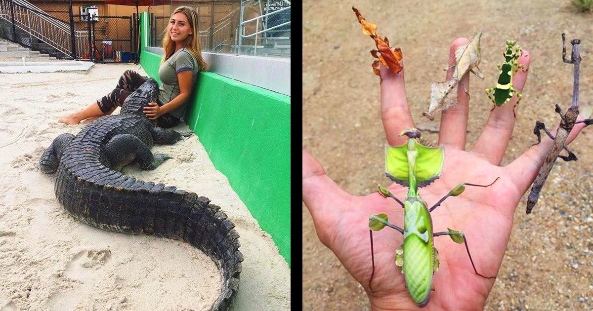 18 Personnes qui n’ont pas peur des animaux sauvages !