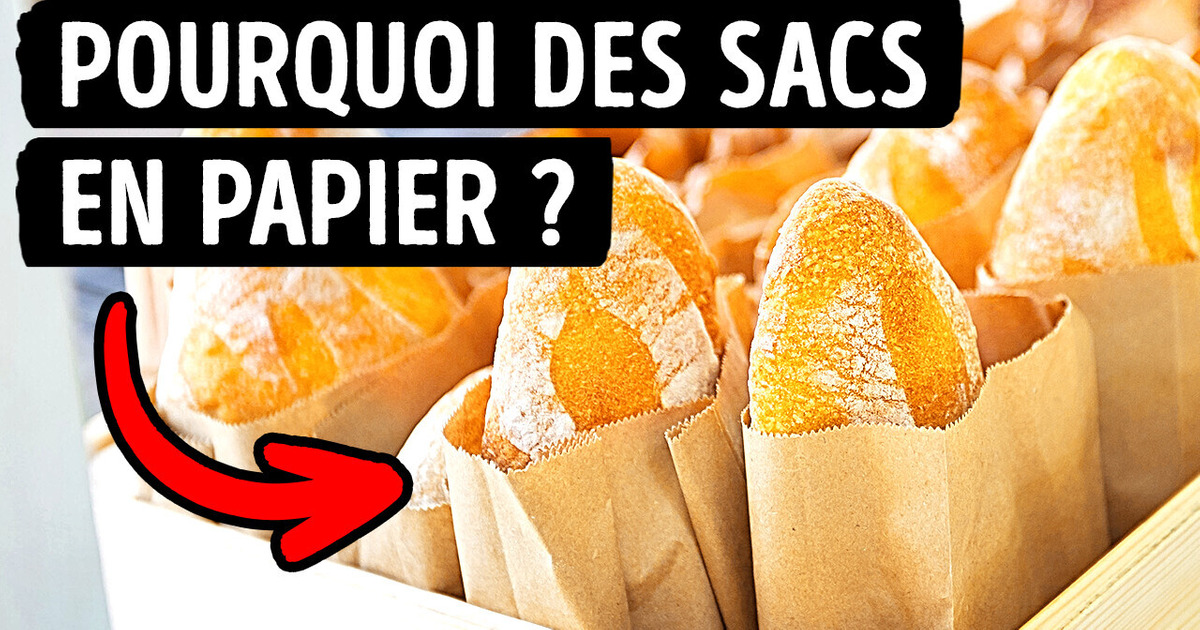 Pourquoi le Pain est Vendu Dans des Sacs en Papier et 24 Autres Faits Fascinants