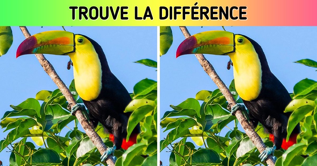 Test : mets à l’épreuve ton sens de l’observation en regardant les détails sur ces images Test : mets à l’épreuve ton sens de l’observation en regardant les détails sur ces images