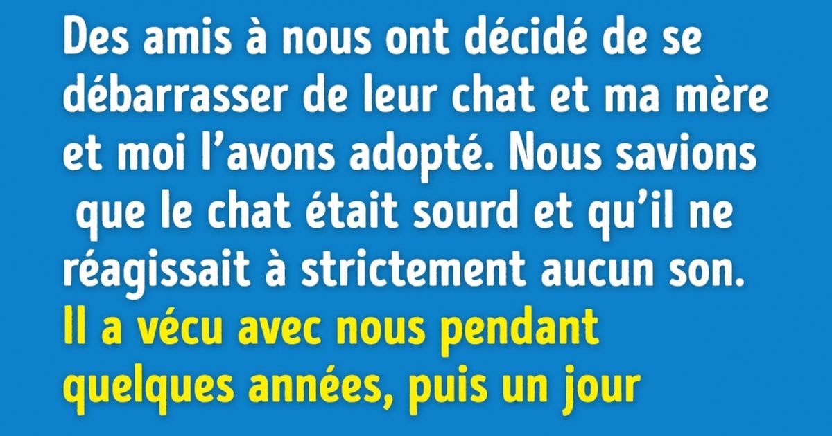 Ces 12 histoires montrent que vivre avec un animal de compagnie n’est pas toujours facile, mais très divertissant