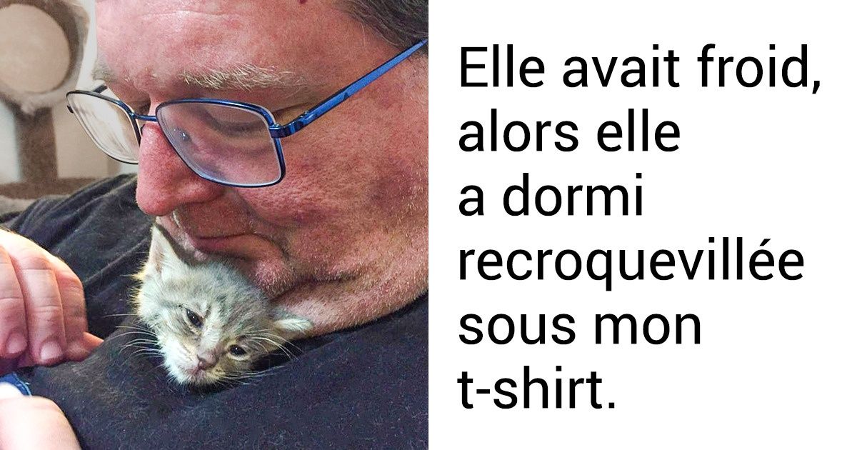 15 Photos émouvantes qui montrent la douceur de la relation entre l’homme et l’animal