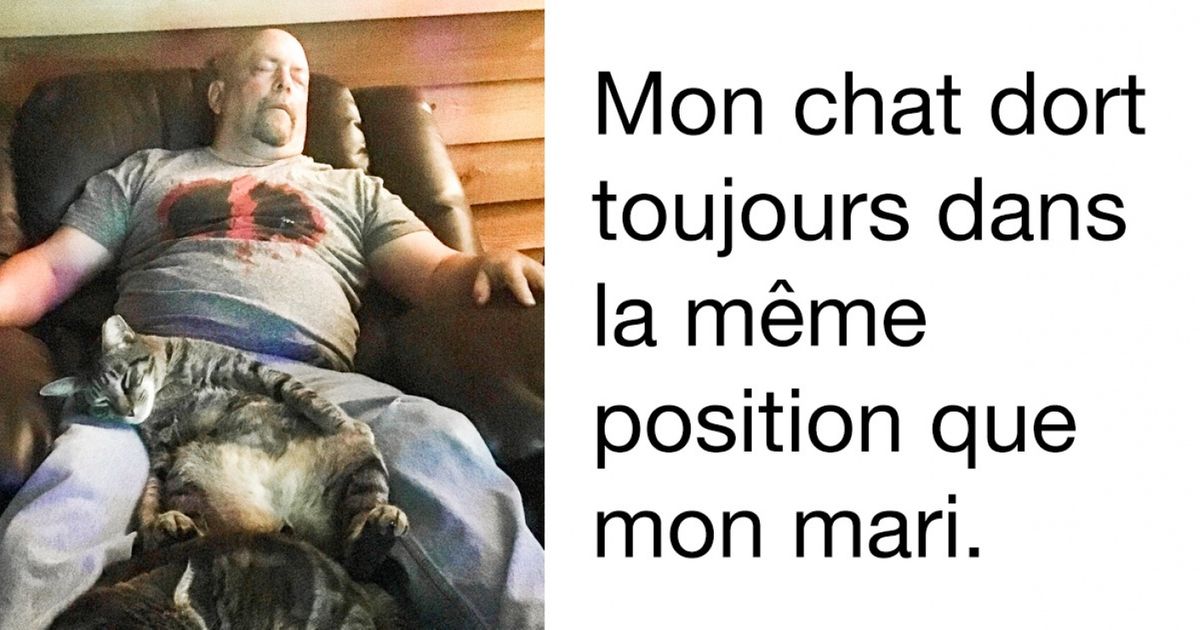 Ces 25 animaux courageux ont perdu leur combat contre le sommeil !