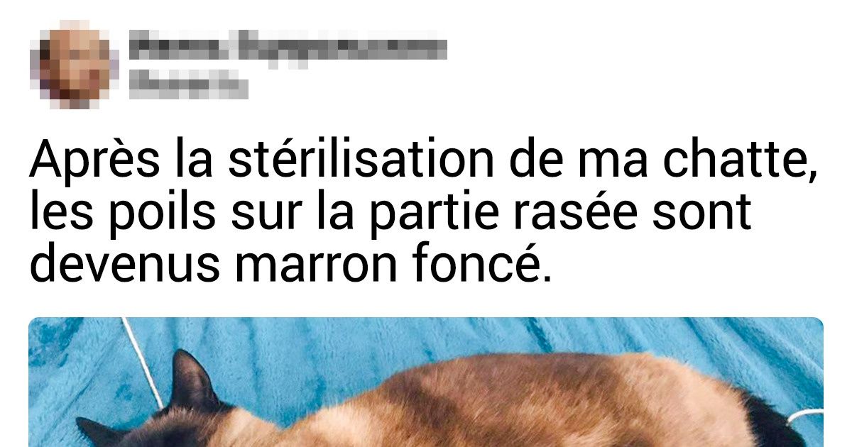 20+ Animaux qui ont demandé beaucoup de créativité à la nature 20+ Animaux qui ont demandé beaucoup de créativité à la nature