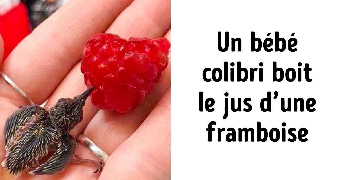 19 Photos qui sont comme une oasis de paix dans un monde de chaos
