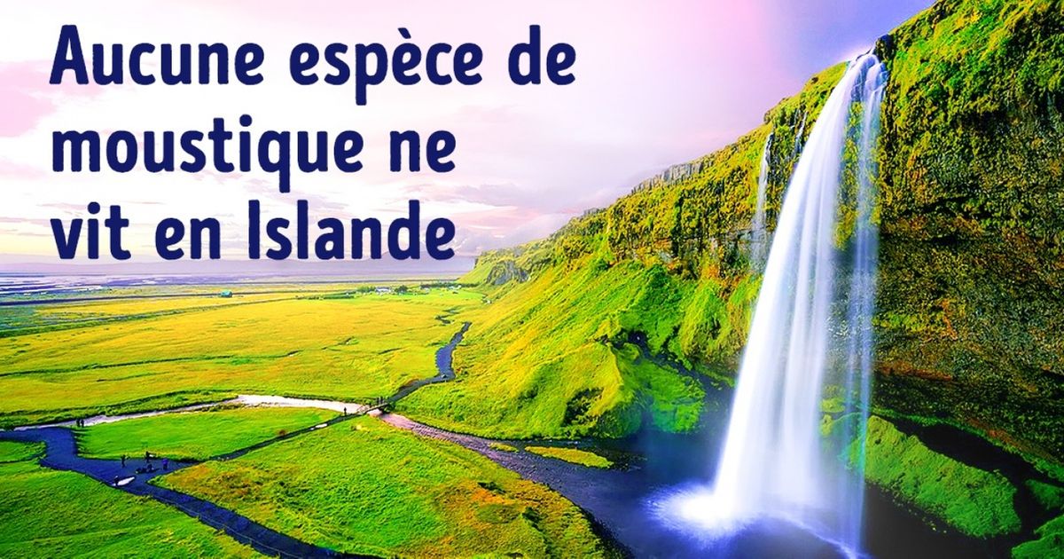 L’Islande est encore plus fantastique que la Terre du Milieu !