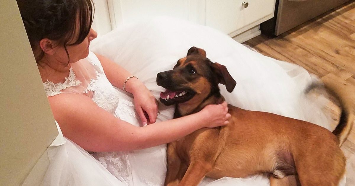 20+ Photos de personnes qui rigolent encore quand elles se souviennent du jour de leurs noces