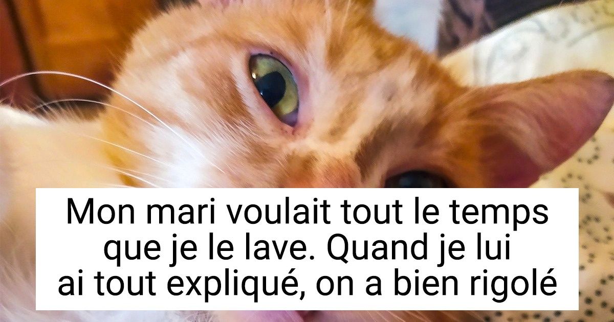 20+ Compagnons à quatre pattes dont la beauté singulière n’est visible qu’aux personnes au grand cœur
