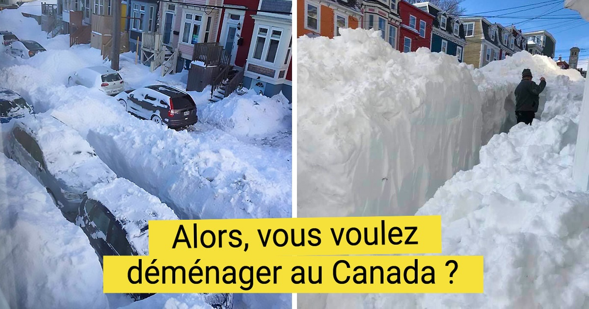 19 Personnes qui ont appris à ne tirer que du positif de l’hiver