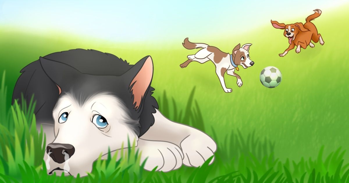 9 Maladies courantes des animaux de compagnie et comment les détecter à temps 9 Maladies courantes des animaux de compagnie et comment les détecter à temps