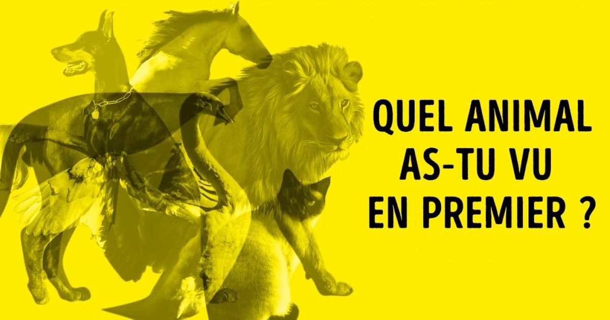 Test : sans réfléchir, dis-nous quel animal tu as vu en premier