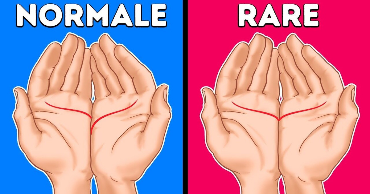 Laisse-moi Lire la Paume de ta Main et je te Dirai sa Signification