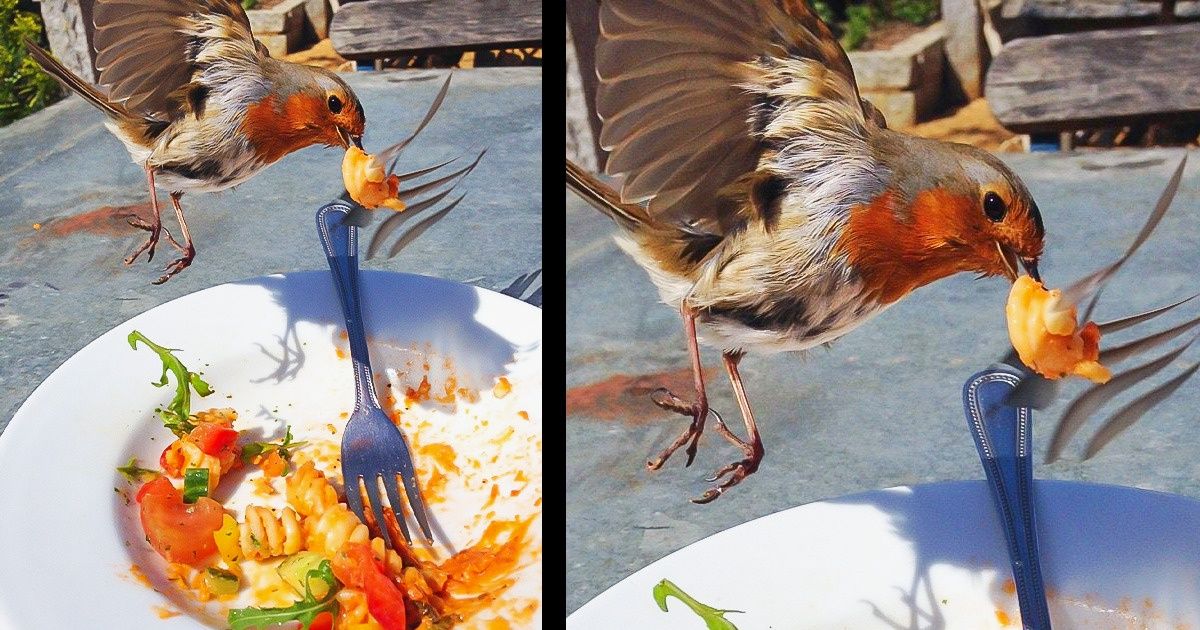 20 Personnes qui ont pris une photo au bon endroit, au bon moment