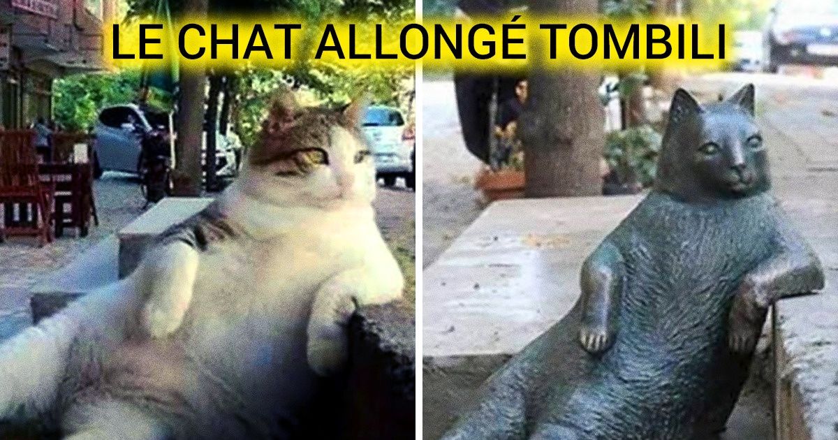 11 Monuments dédiés aux animaux qui méritent d’être commémorés par l’homme