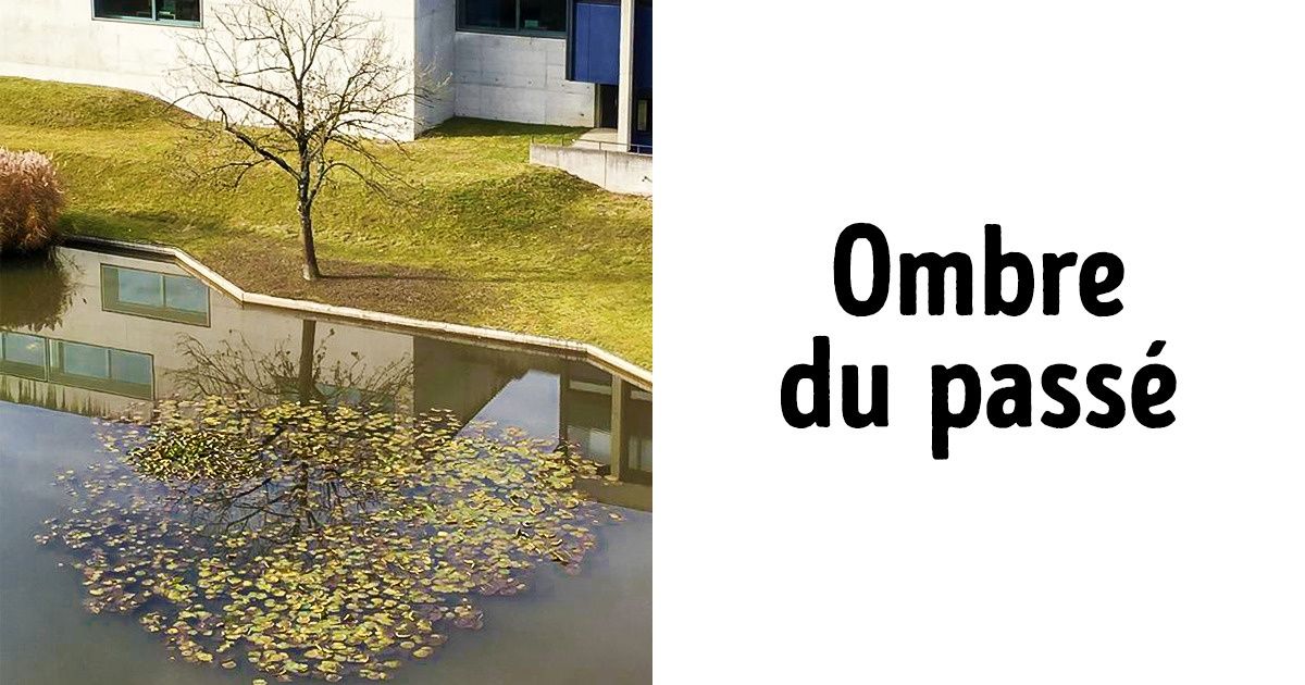 20+ Preuves que l’automne est l’artiste le plus habile du monde