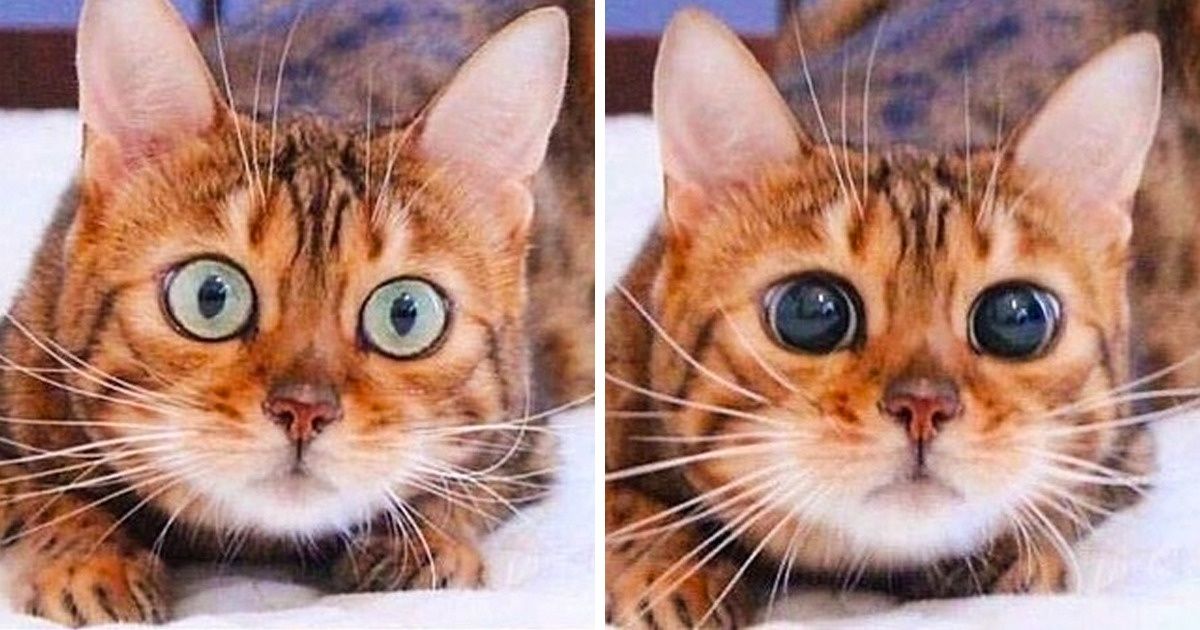 22 Photos qui calment les nerfs de façon instantanée