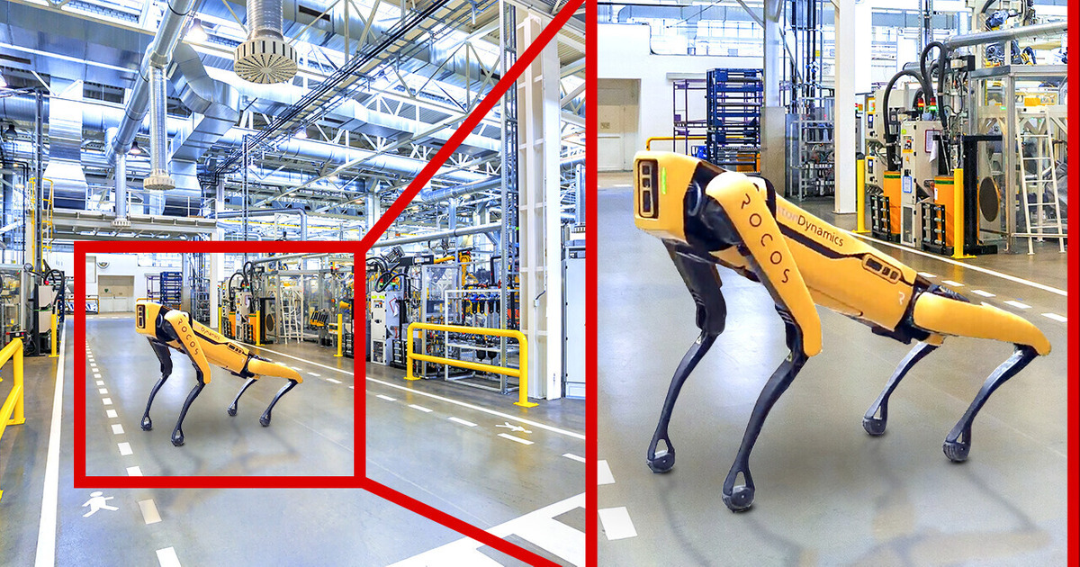 Regarde comment ils utilisent des chiens robots dans la vie réelle Regarde comment ils utilisent des chiens robots dans la vie réelle