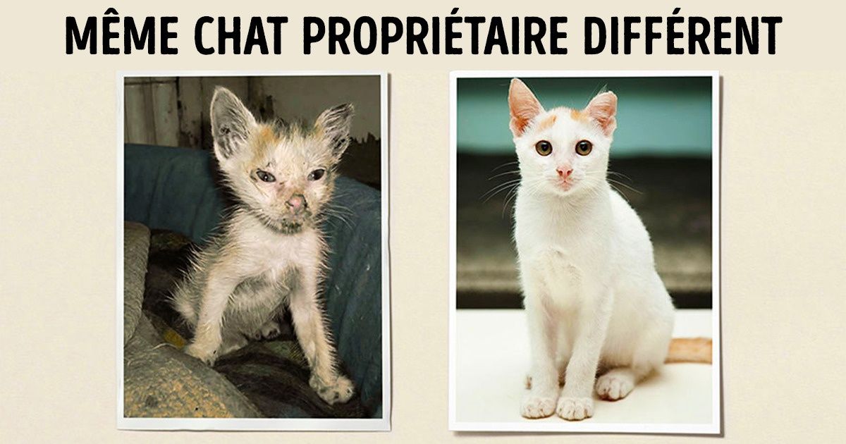 15 exemples de publicité sociale