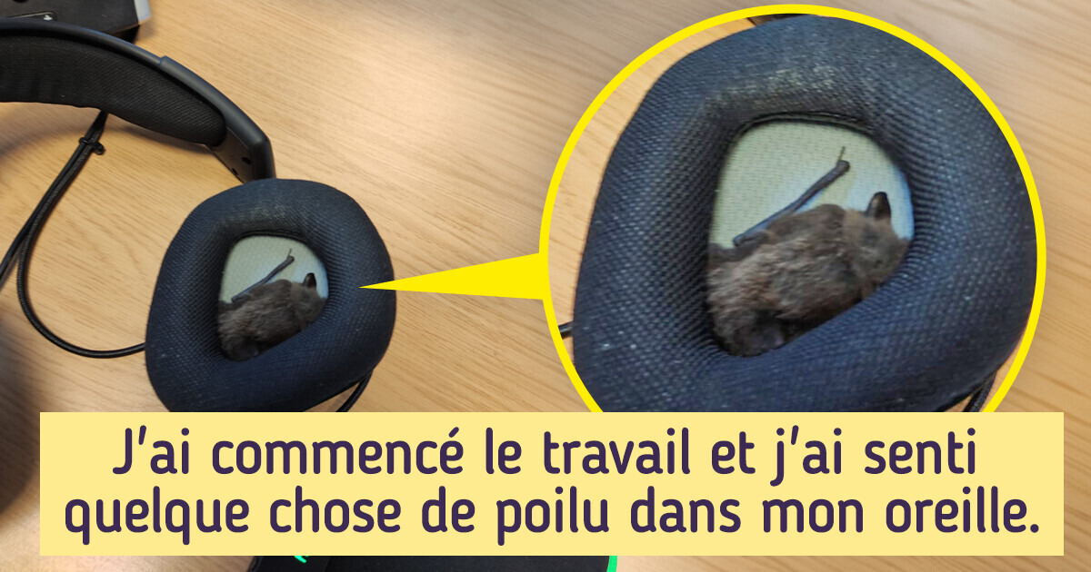 20 Photos impressionnantes de gens qui passent une très mauvaise journée au travail