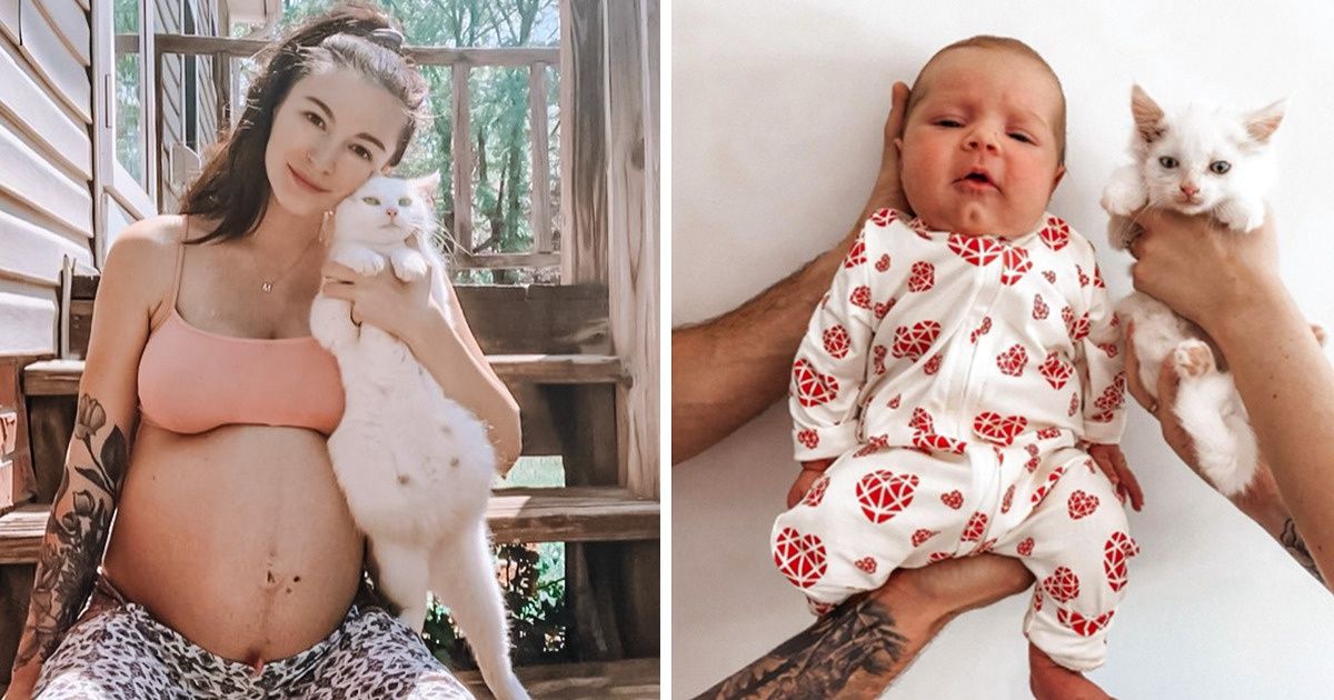Une future maman a sauvé une chatte abandonnée, et il s’est avéré qu’elles étaient toutes les deux enceintes