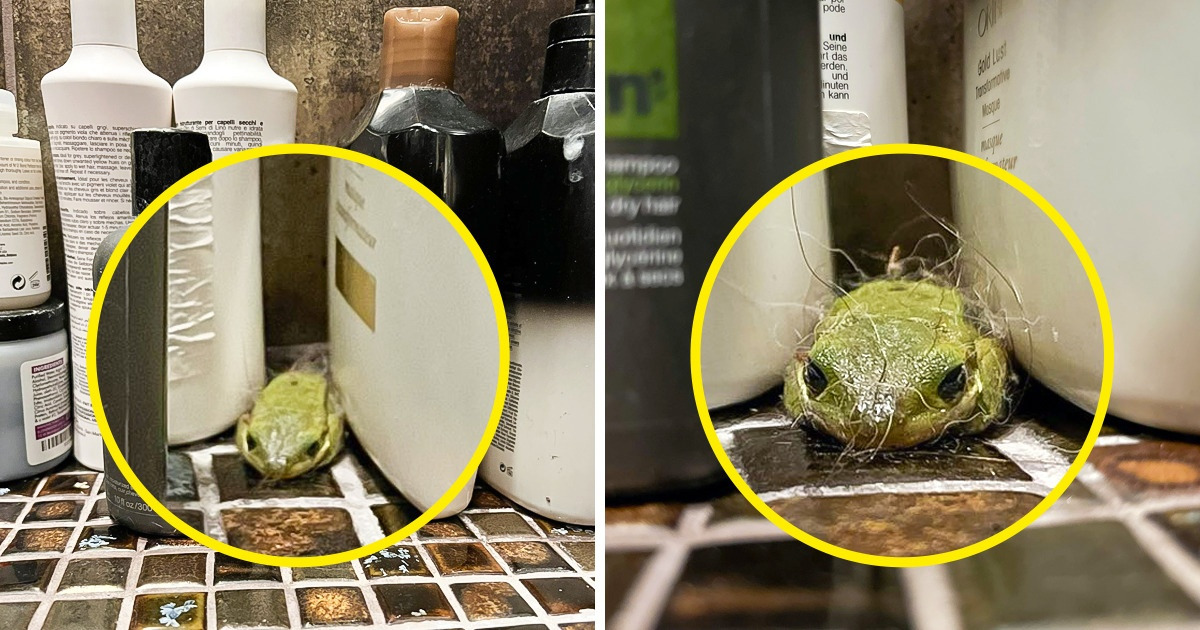 Voici ce qui pourrait t’arriver si tu achètes de la salade