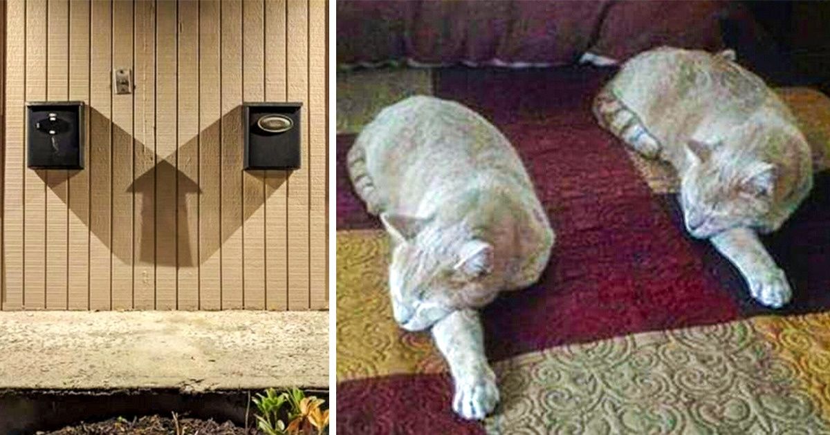 20+ Coïncidences qui révèlent des bugs dans la matrice