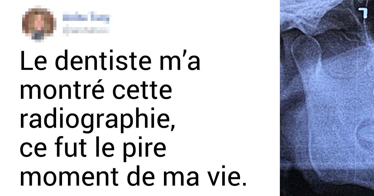 20 Preuves que dans le monde, une tuile peut vite arriver, surtout lorsqu’on ne s’y attend pas