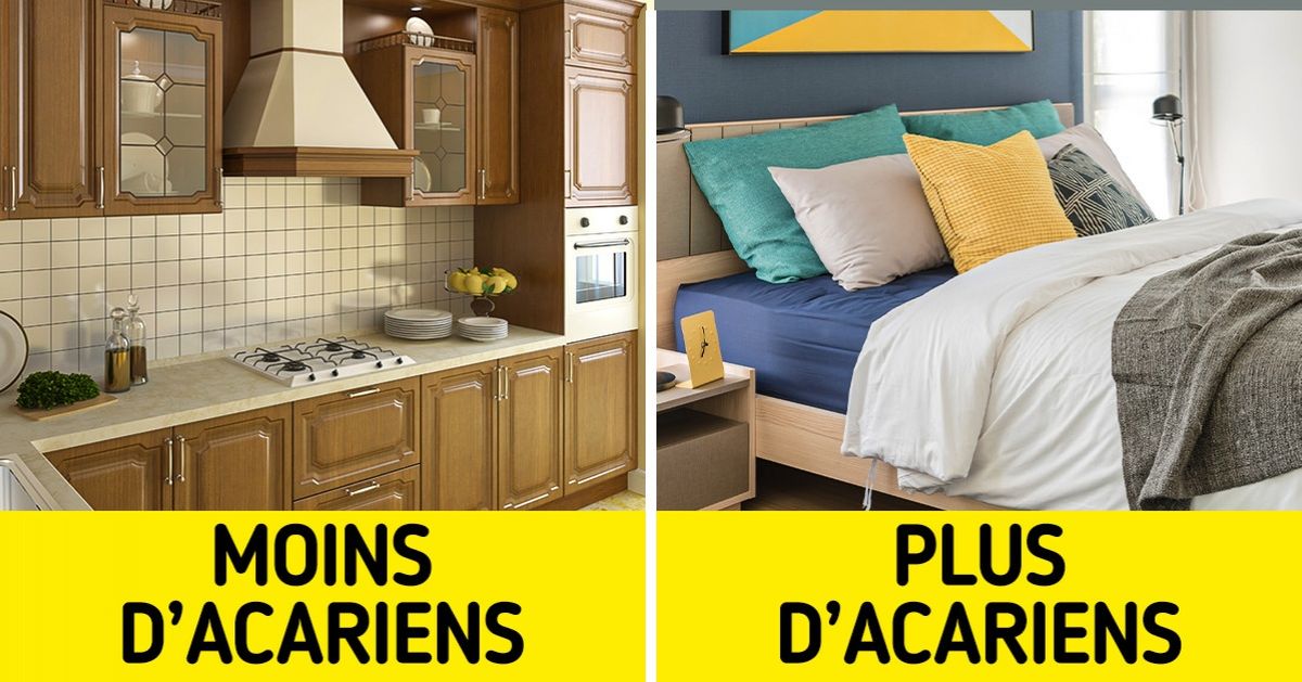 Voici comment la poussière et ses allergènes affectent nos maisons Voici comment la poussière et ses allergènes affectent nos maisons