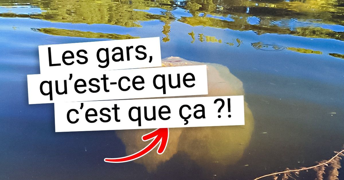 20+ Photos qui vont t’impressionner et te donner envie de chercher sur internet de quoi il s’agit