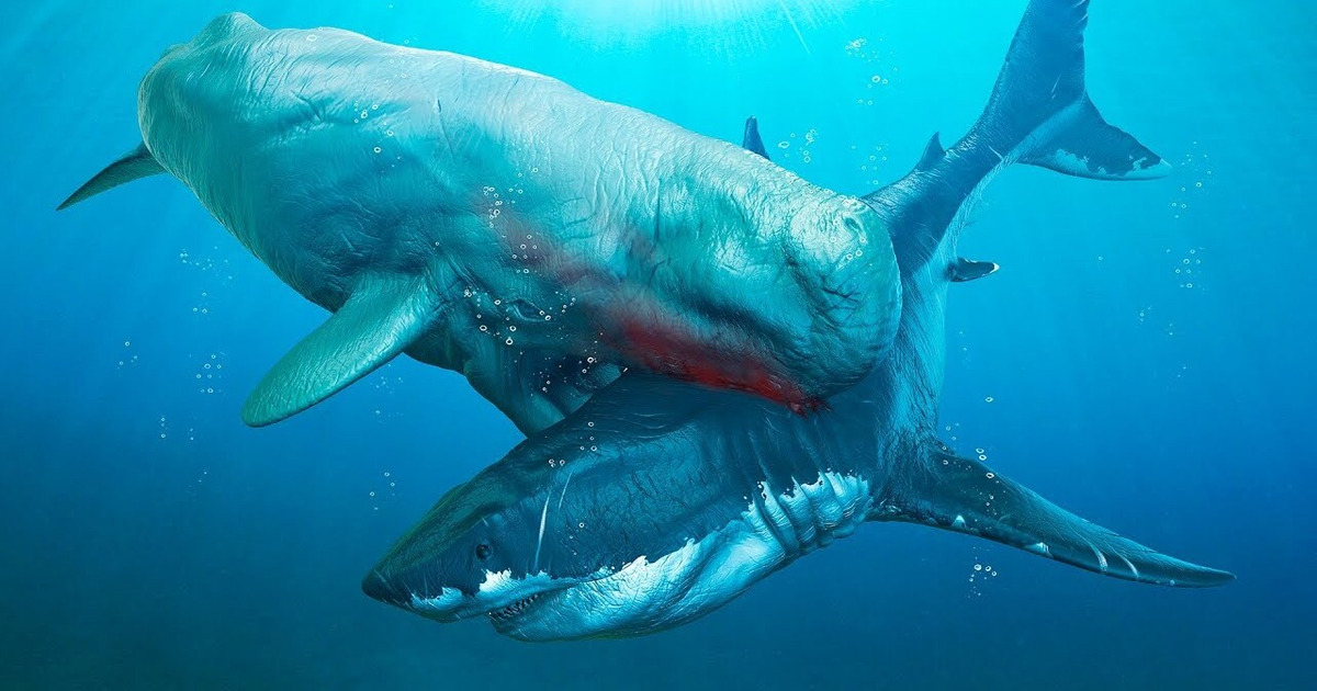 Les 6 Ennemis Les Plus Redoutables de Mégalodon