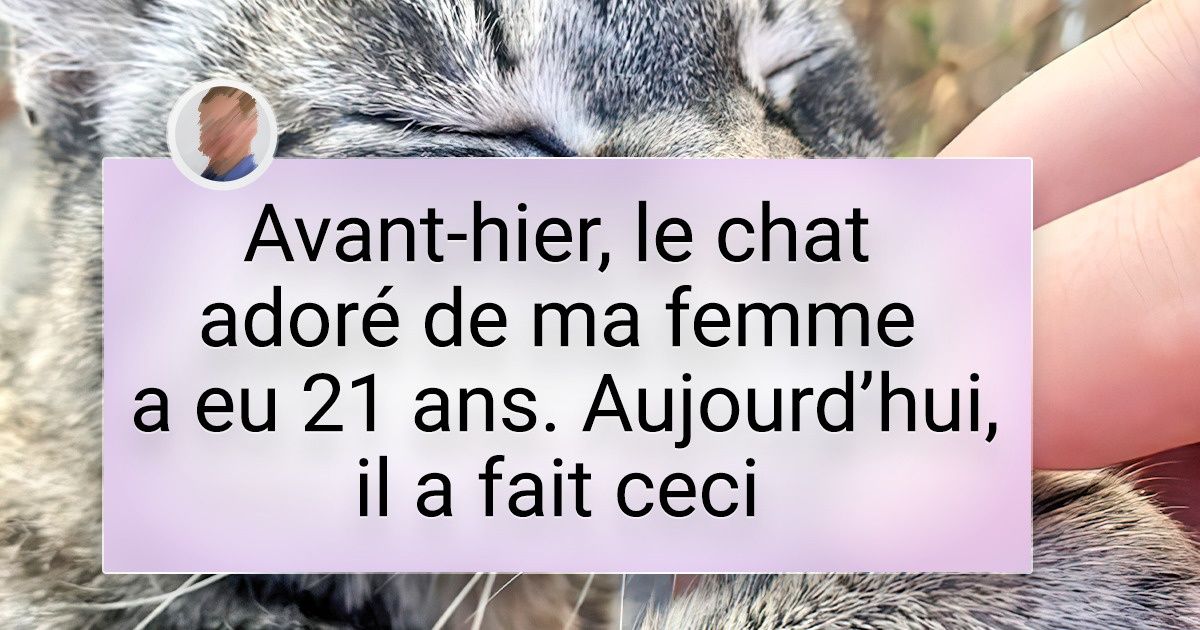 20+ Histoires en photos d’animaux de compagnie qui font chaud au cœur