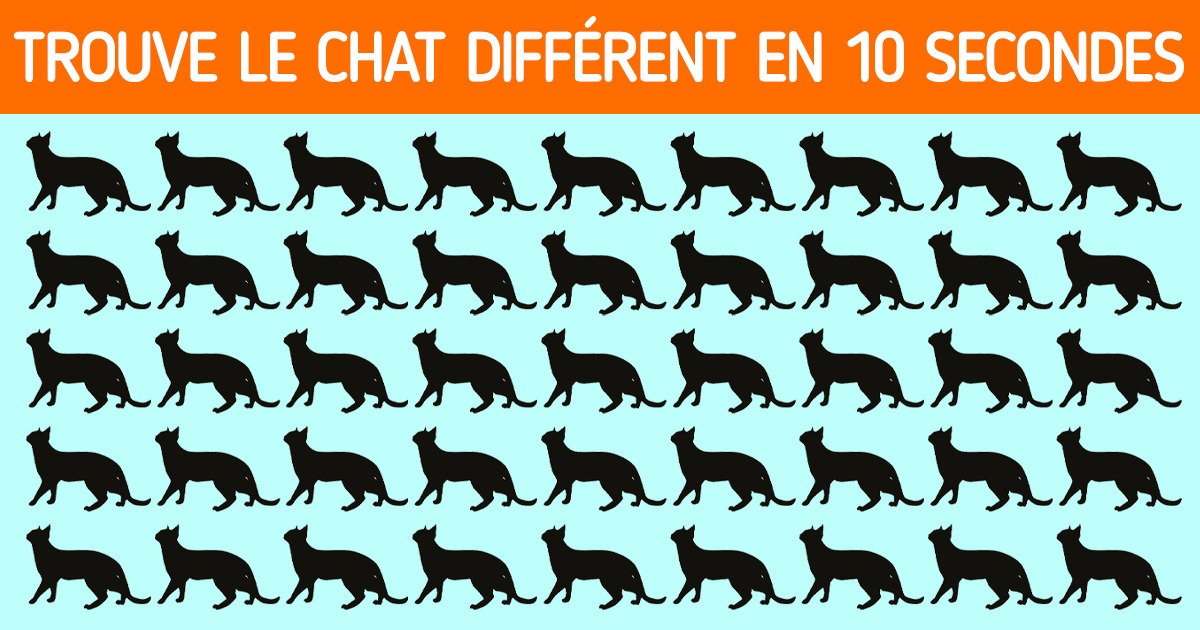 13 Énigmes difficiles pour tester ta perception visuelle 13 Énigmes difficiles pour tester ta perception visuelle