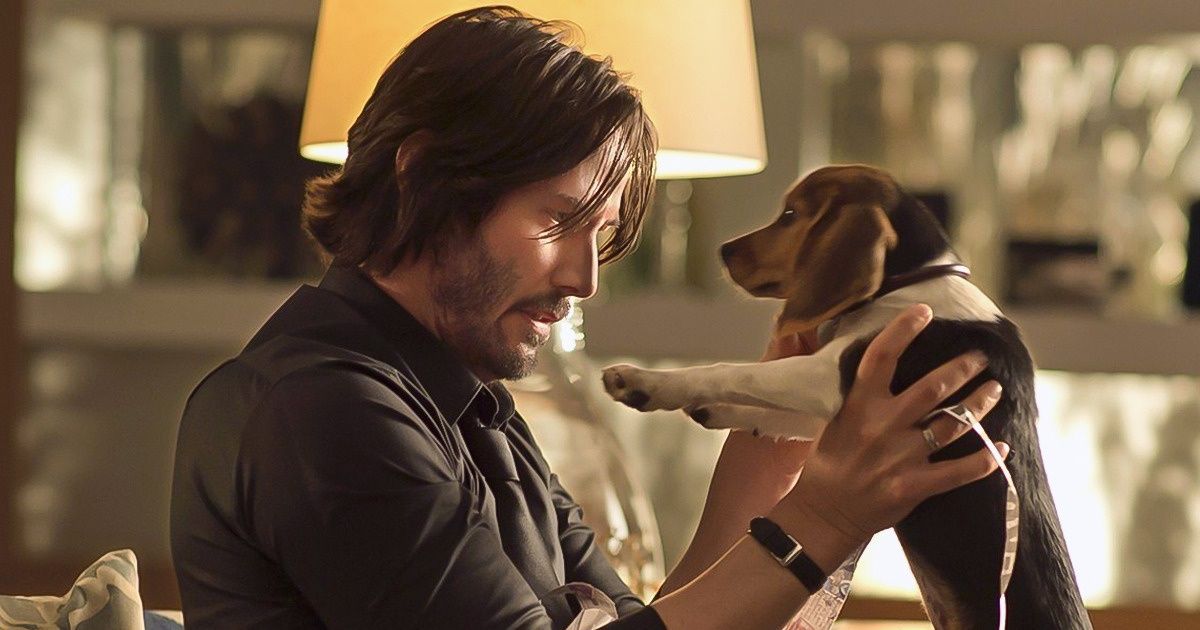 11 Films dont on n’attendait pas grand-chose et qui ont fait un carton à la surprise générale