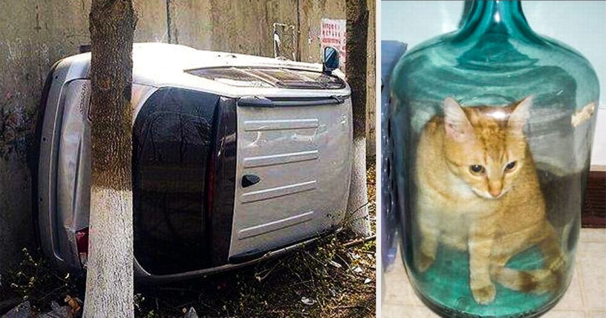 On se demande encore comment ces 15 situations insolites ont bien pu se produire
