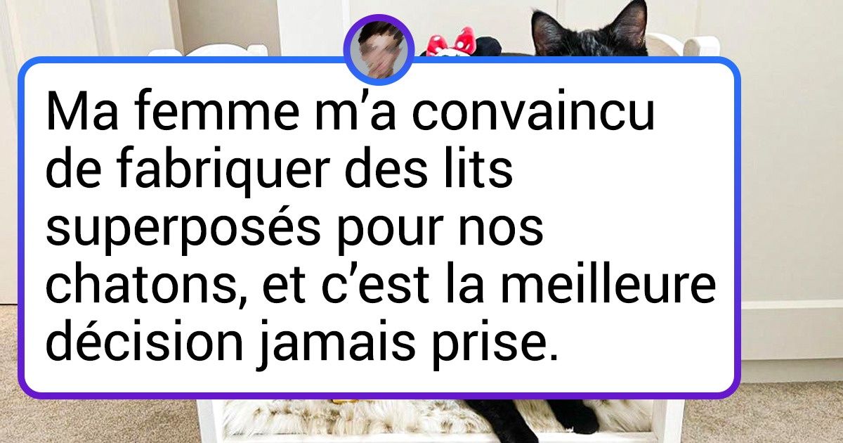 15+ Propriétaires d’animaux qui n’ont aucune limite lorsqu’ils chouchoutent leurs animaux de compagnie