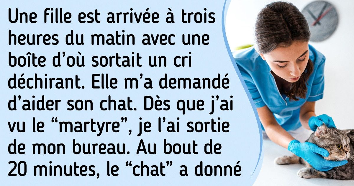 20+ Vétérinaires ont parlé des erreurs que commettent même ceux qui adorent leurs animaux de compagnie