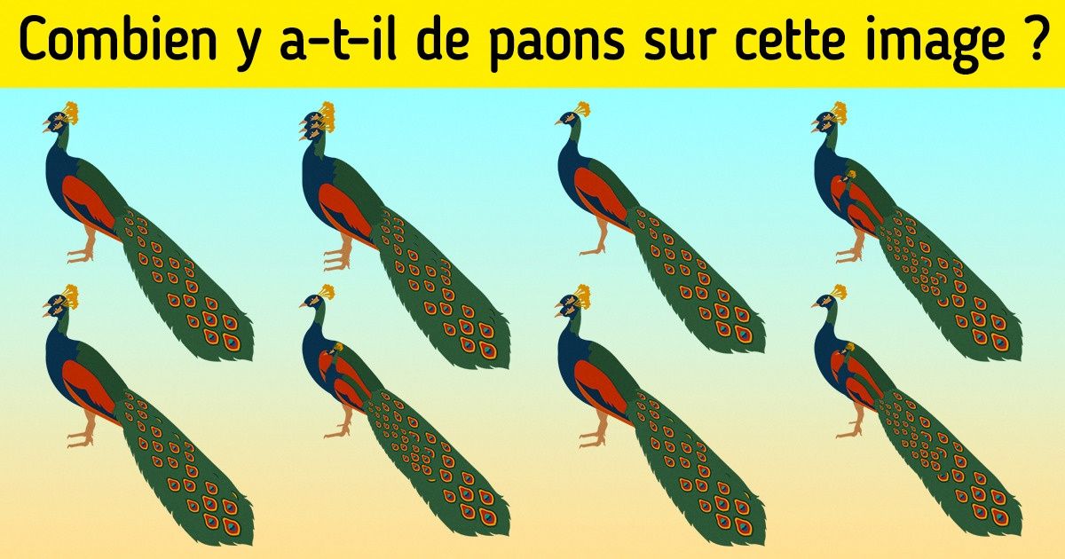 20 Animaux qui mettront ta vision à rude épreuve