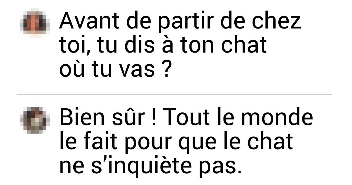 20+ Personnes confessent ce qu’elles disent à leurs animaux avant de quitter la maison