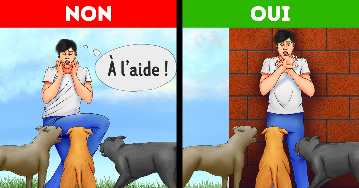 8 Idées reçues concernant la survie, et ce qu’il faut réellement faire dans des situations d’urgence 8 Idées reçues concernant la survie, et ce qu’il faut réellement faire dans des situations d’urgence