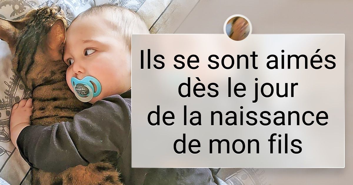 24 Animaux de compagnie qui sont devenus meilleurs amis avec le nouveau bébé de la famille