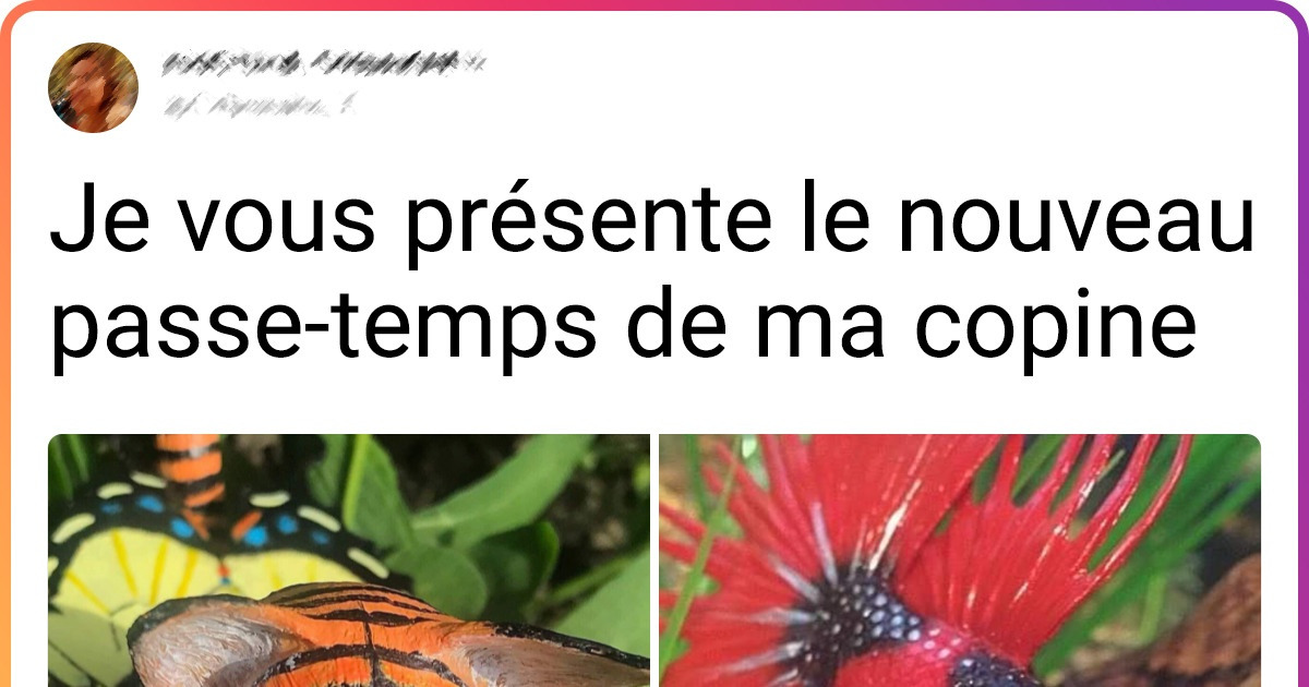 18 Femmes tellement douées à leur hobby que leurs familles n’hésitent pas à partager leurs créations