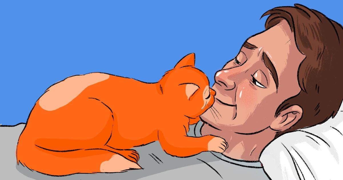 13 Manières pour ton chat de te dire “je t’aime” 13 Manières pour ton chat de te dire “je t’aime”