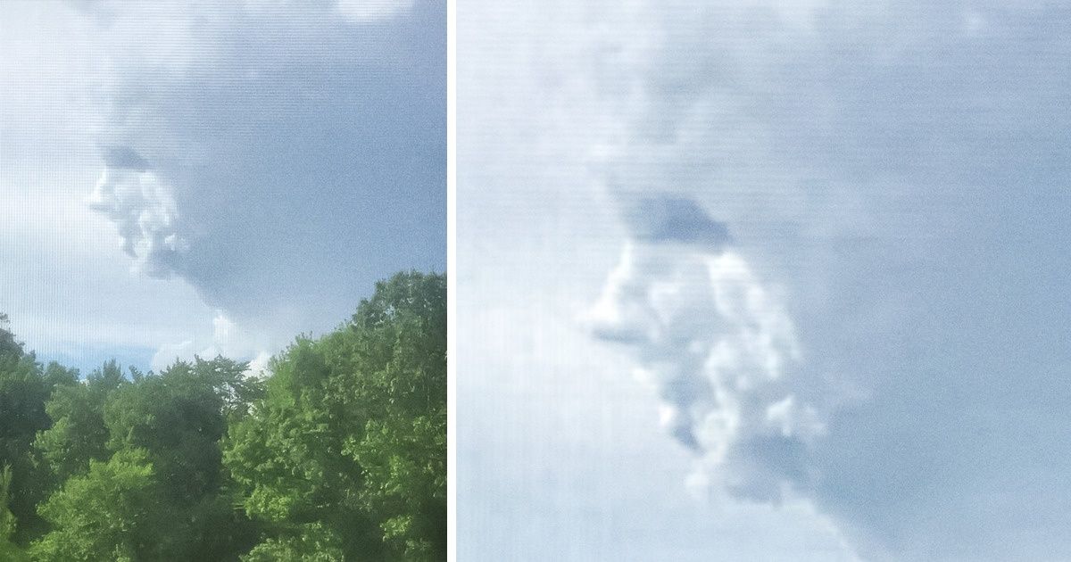 17 Moments où la nature nous a émerveillés alors que nous pensions avoir tout vu