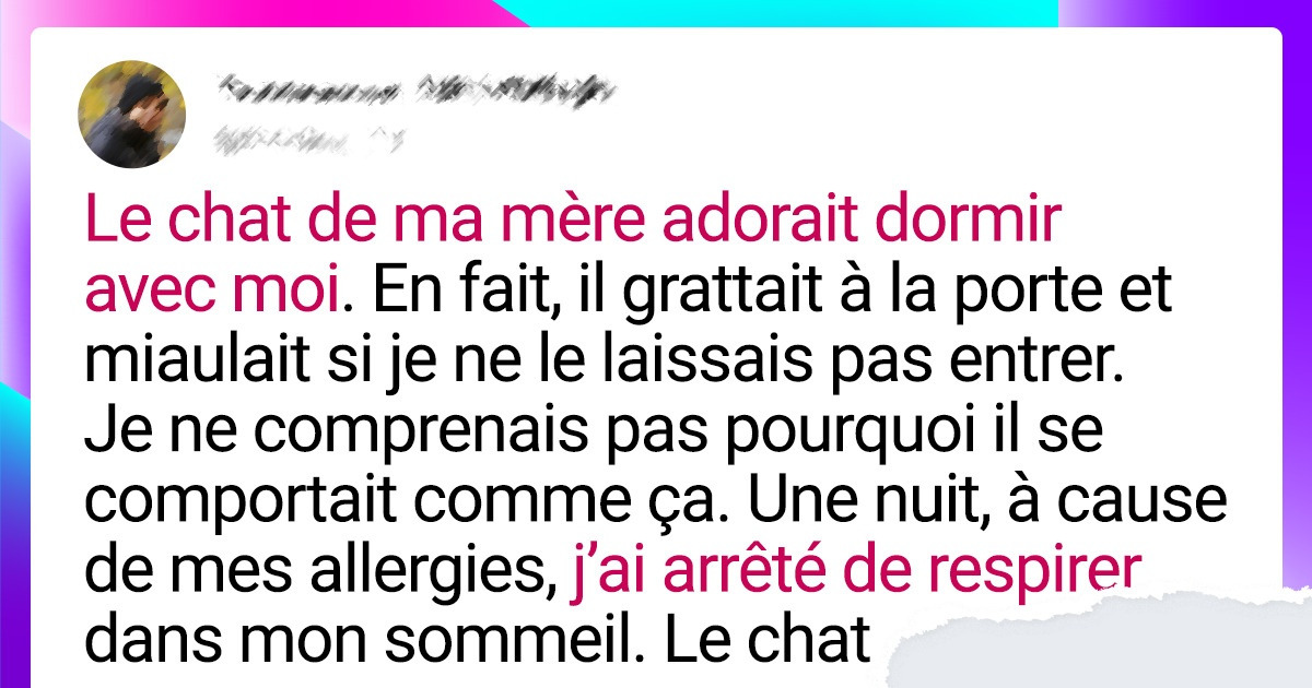 18 Anecdotes d’animaux qui prouvent qu’ils nous comprennent mieux que personne et sont vraiment nos meilleurs amis
