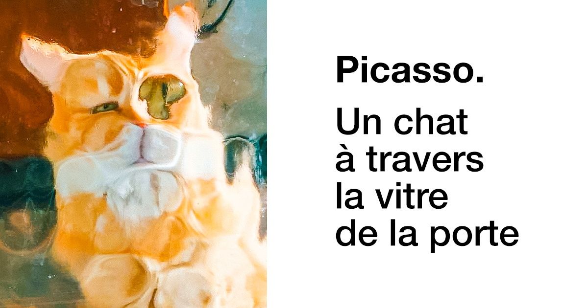 14 Images qui prouvent qu’être un chat est un véritable art