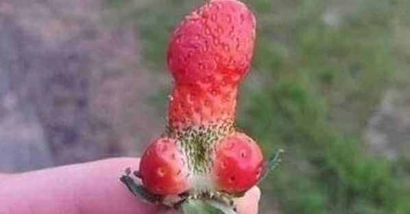 20 Fruits et légumes qui ressemblent à autre chose...