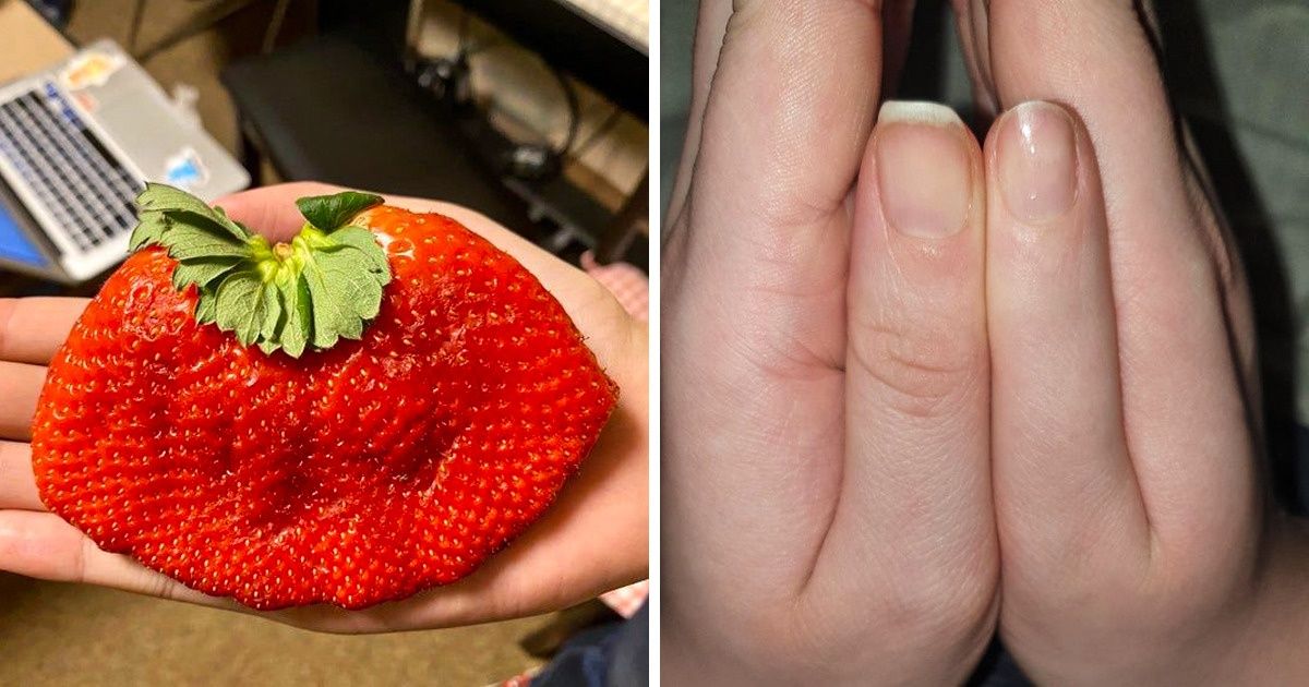 20 Situations peu courantes que les gens ont capturées avec leur téléphone