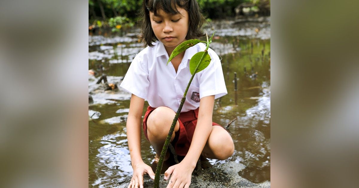 Aux Philippines, une loi oblige les étudiants à planter 10 arbres pour obtenir leur diplôme Aux Philippines, une loi oblige les étudiants à planter 10 arbres pour obtenir leur diplôme