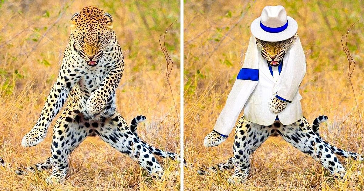 Des internautes se livrent des batailles de Photoshop et les résultats sont tellement hilarants qu’ils te feront mourir de rire Des internautes se livrent des batailles de Photoshop et les résultats sont tellement hilarants qu’ils te feront mourir de rire