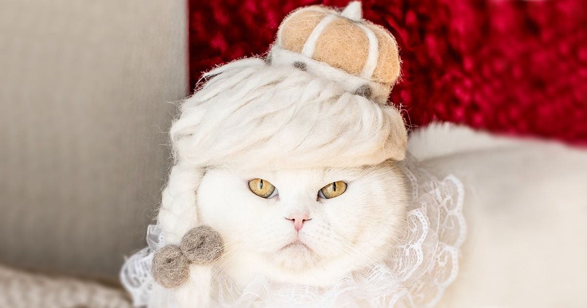 Une Artiste Japonaise Cree Des Chapeaux Pour Chats Avec Leurs Propres Poils Et C Est Vraiment Adorable