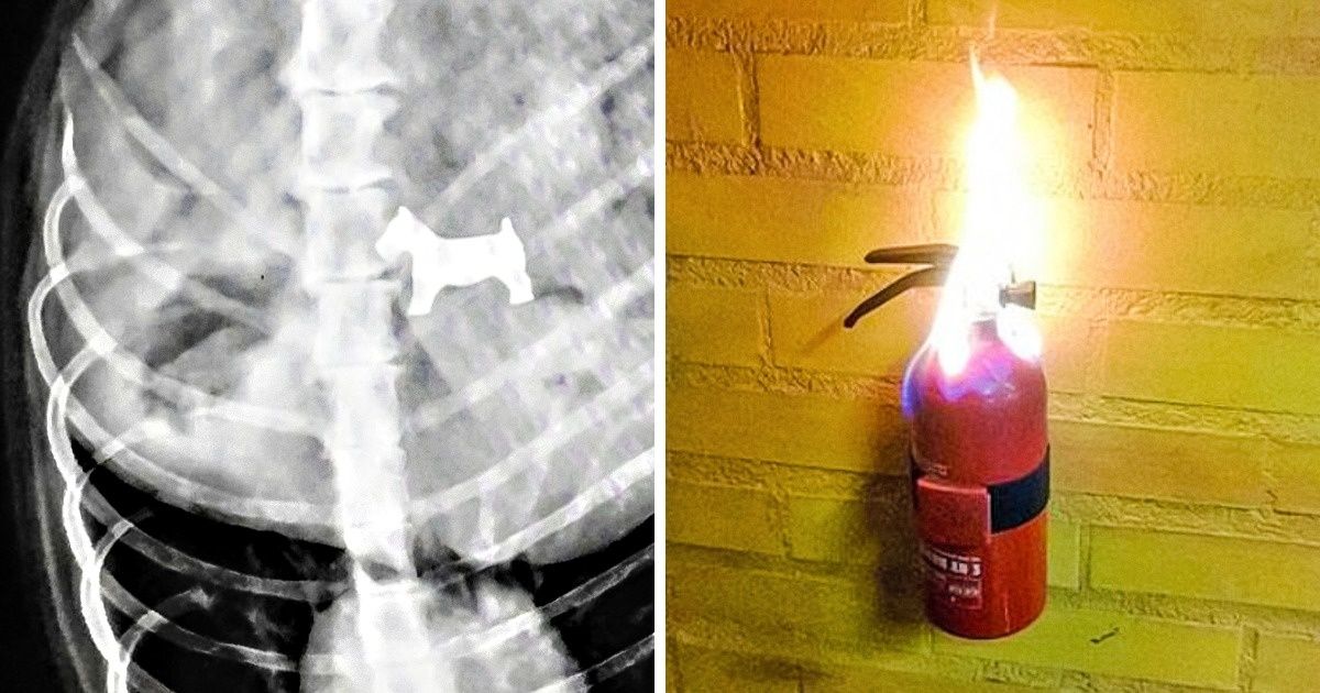 Ces 18 images font un résumé de ce qu’est l’ironie Ces 18 images font un résumé de ce qu’est l’ironie